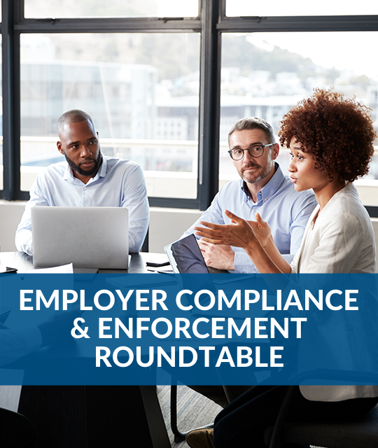 E-Verify+: Usefulness and Pitfalls