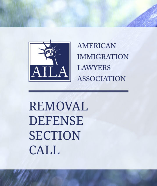 Removal Defense Section Quarterly Call (October 2026)