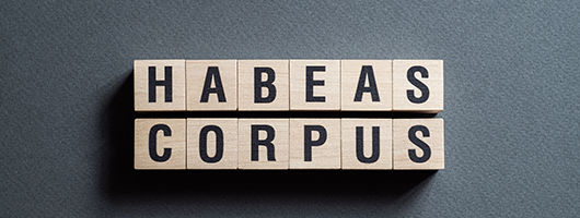 Decorative image of wooden letter tiles spelling out HABEAS CORPUS