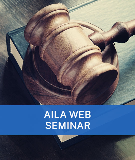 Winning Strategies for BIA Appeals: Standards, Errors, and Preservation