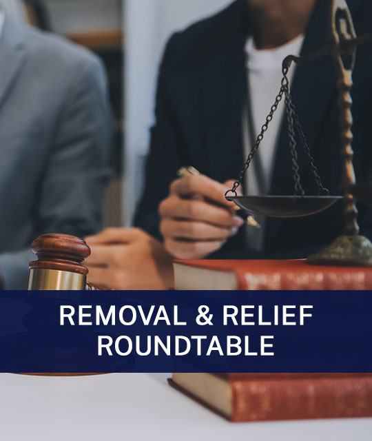 EOIR Merits Hearing: Be Ready for Anything!