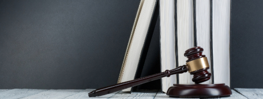 Gavel in front of books
