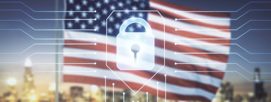  A lock icon superimposed on an image of the U.S. flag